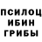 Галлюциногенные грибы ЛСД Danny Hackett
