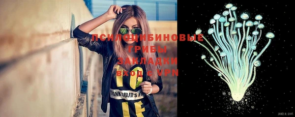 эйфоретик Арсеньев