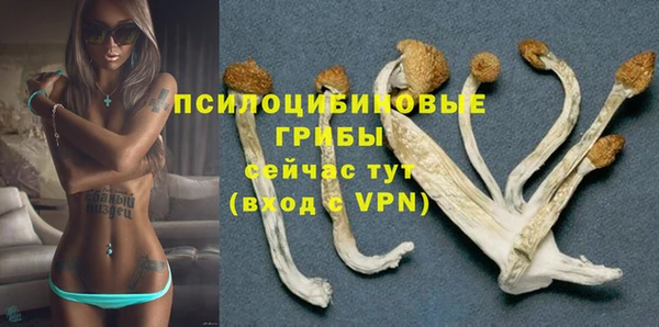 ALPHA PVP Армянск
