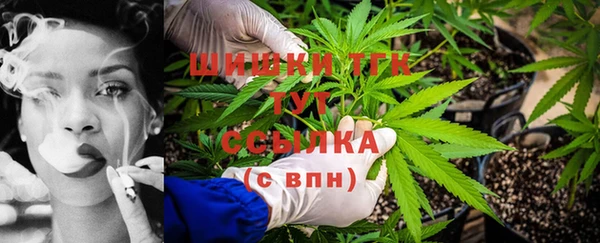 ешки Аркадак
