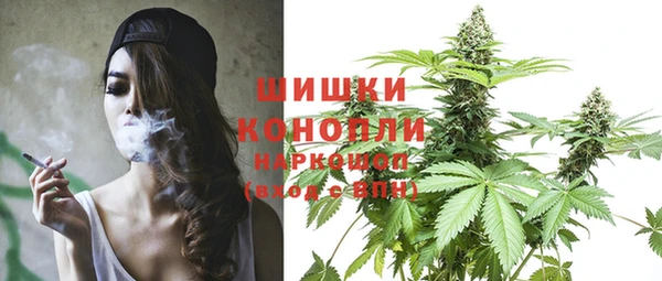 ешки Аркадак