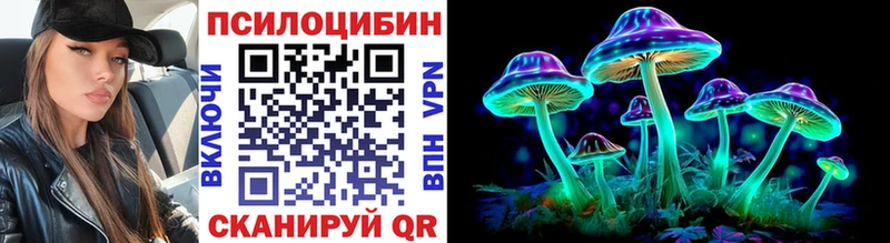 цена наркотик  мега ссылка  Галлюциногенные грибы Psilocybe  Лениногорск 